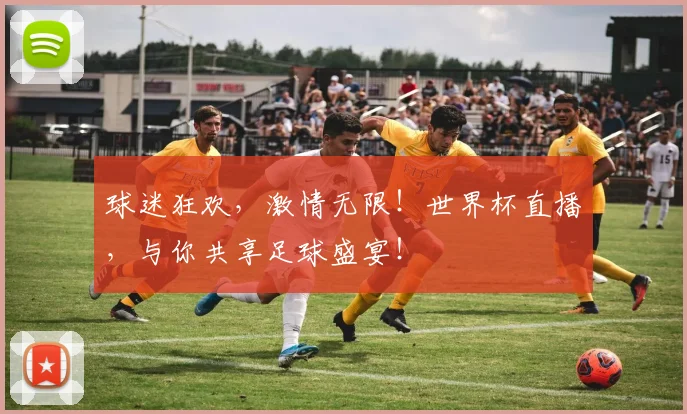 球迷狂欢，激情无限！世界杯直播，与你共享足球盛宴！