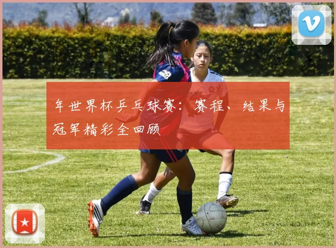 年世界杯乒乓球赛:赛程、结果与冠军精彩全回顾