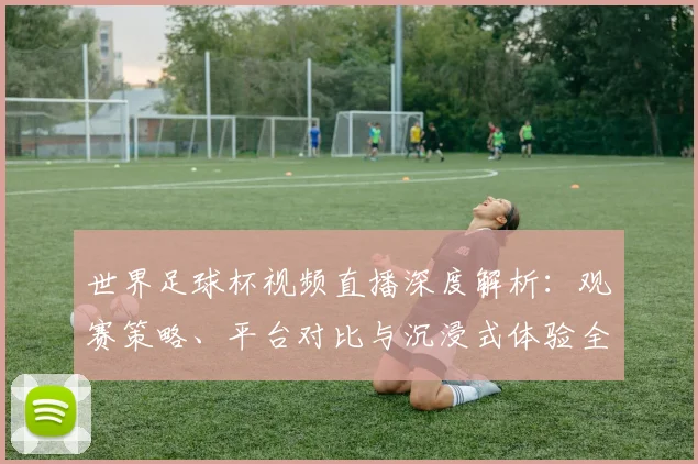 世界足球杯视频直播深度解析:观赛策略、平台对比与沉浸式体验全指南