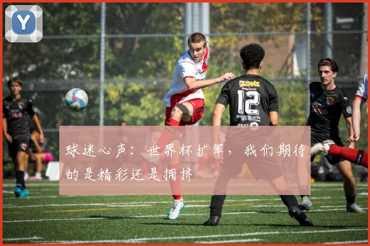 球迷心声:世界杯扩军,我们期待的是精彩还是拥挤